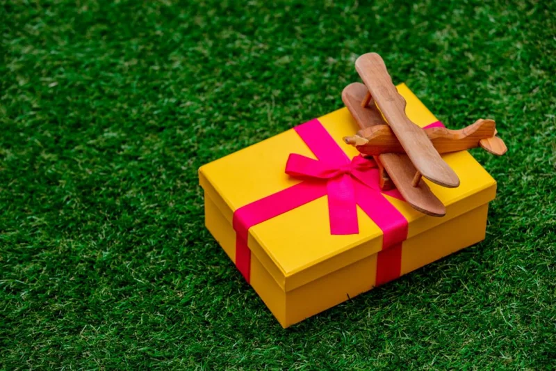gift box with pink bow wooden airplane on grass in alaska